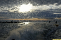 Venice kite festival_0251